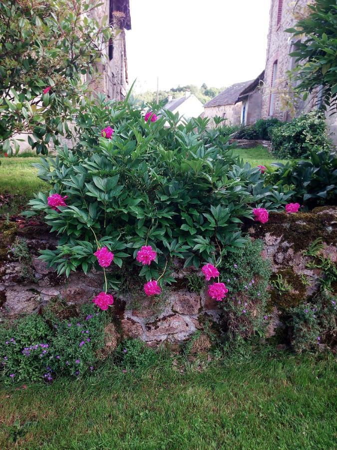 Village De Vie Saint-Vaury Bagian luar foto